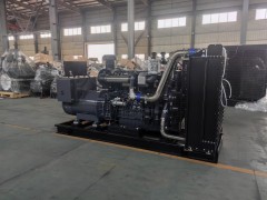 300 千瓦柴油發(fā)電機組（柴動力）技術(shù)參數(shù)與配置說明